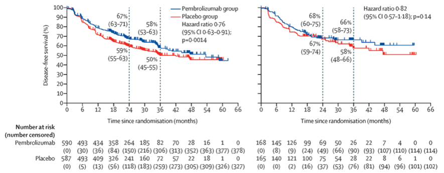  Adakveo を他の治療法と併用する